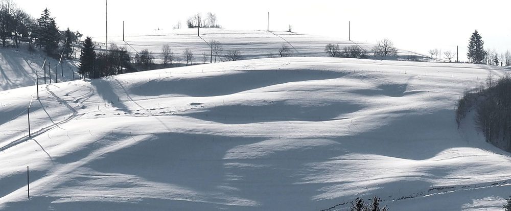 Photograph by Cornelia Ilie