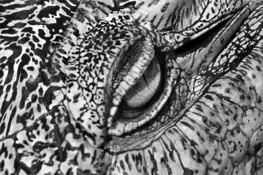 Photograph by Elisabeth