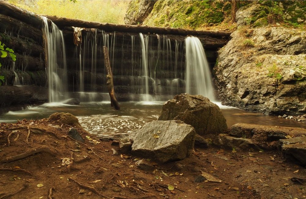 Photograph by Cornelia Ilie