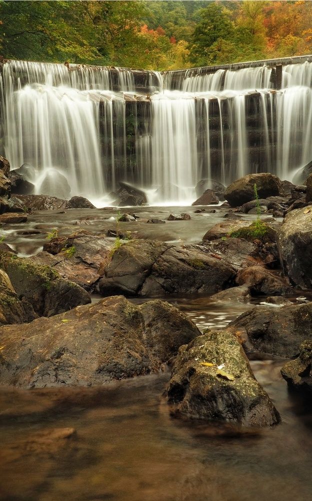 Photograph by Cornelia Ilie