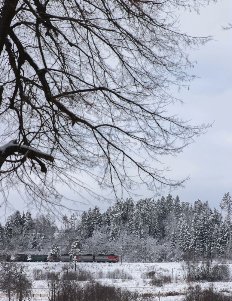 Photograph by Яна Котлярова