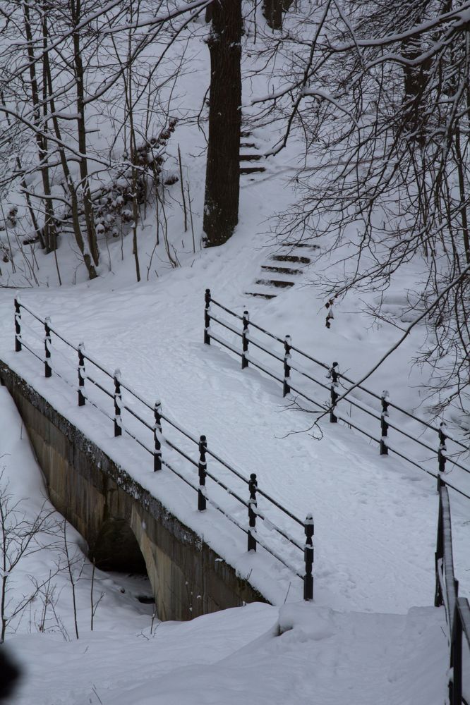 Photograph by Olga Min