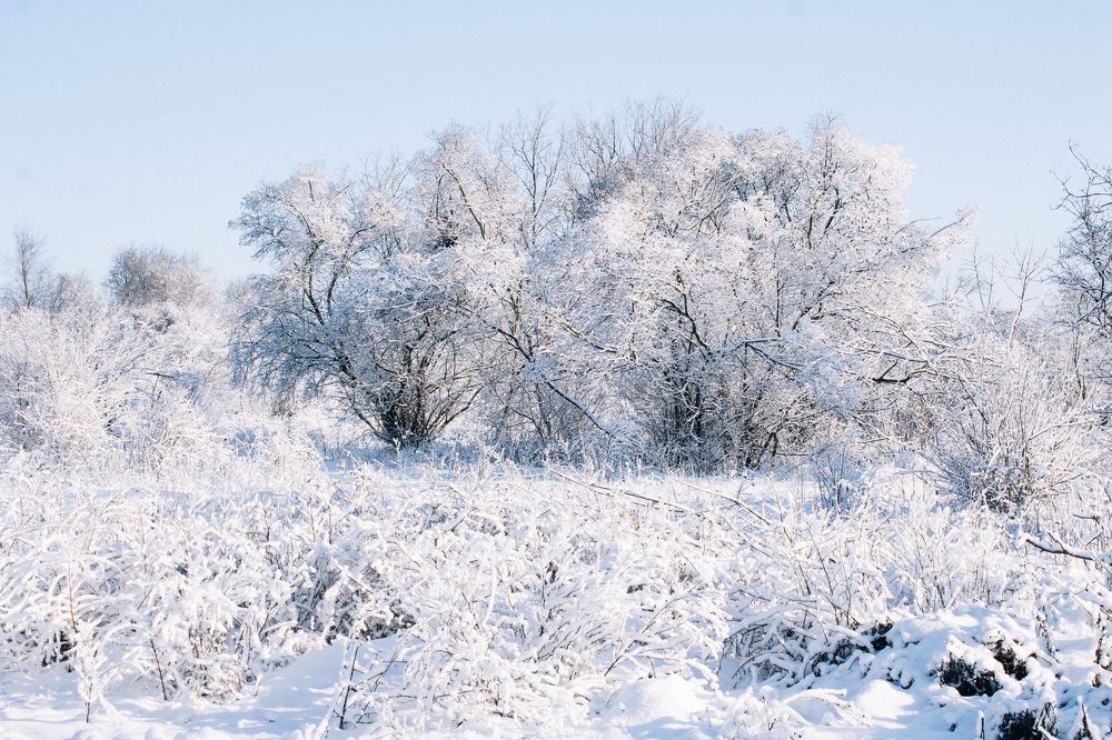 Photograph by Антонина Басалай