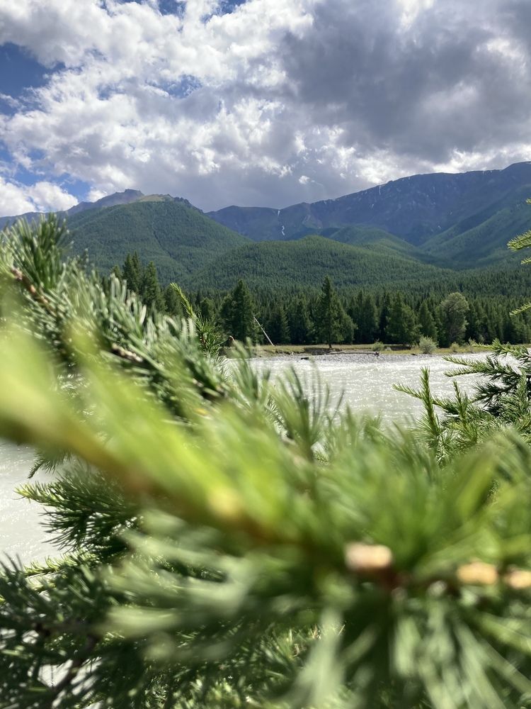 Photograph by Елена