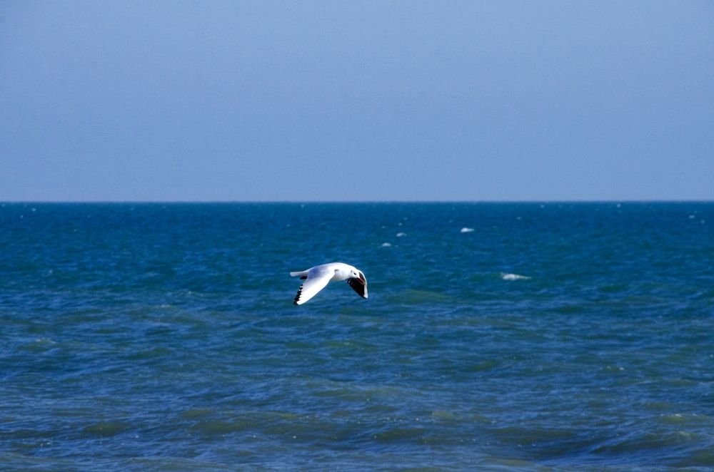 Photograph by Александра Гончаренко Александра Гончаренко