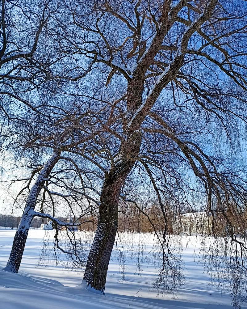 Photograph by Ксения Щеголева