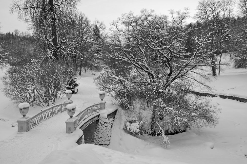 Photograph by Igor Sorokin