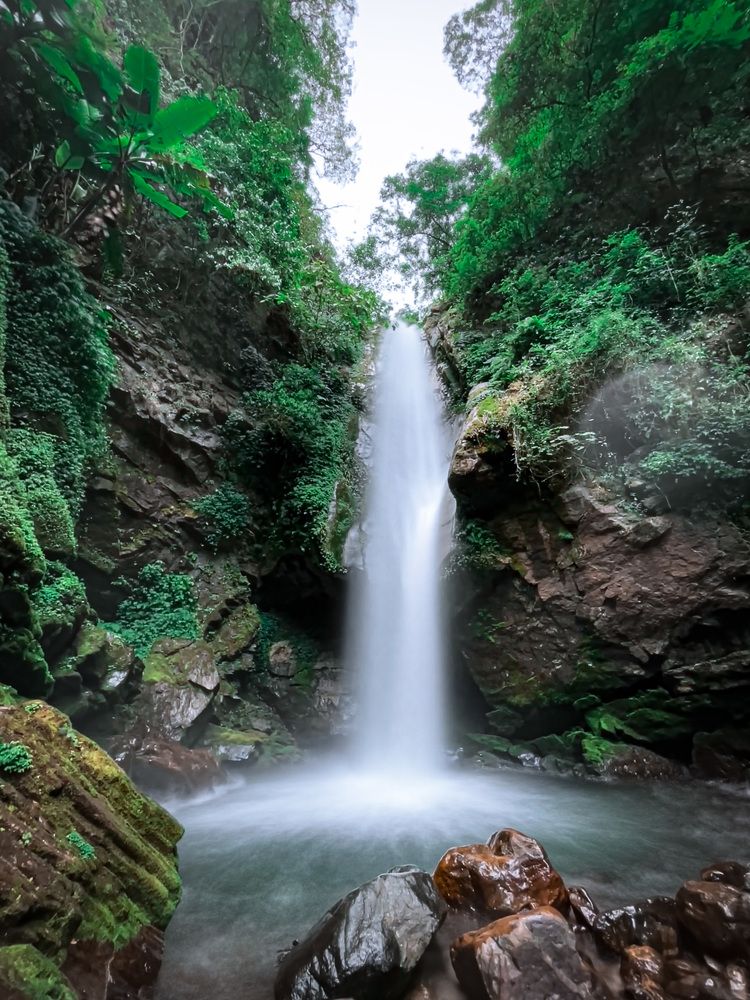 Photograph by Dipsankar Saha