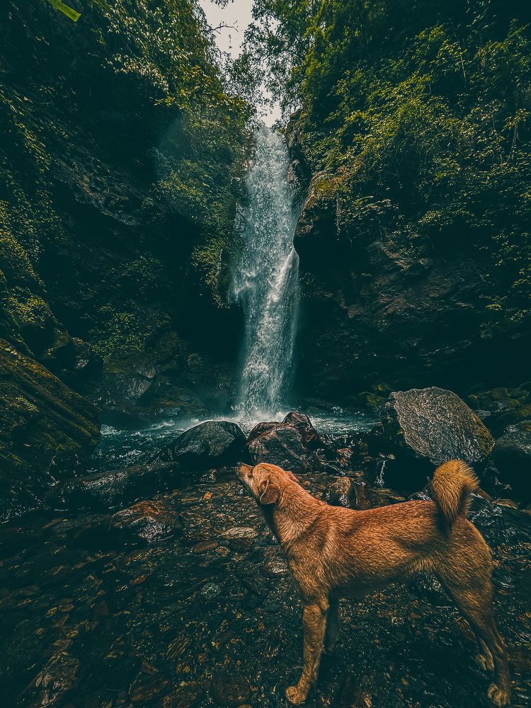 Photograph by Dipsankar Saha