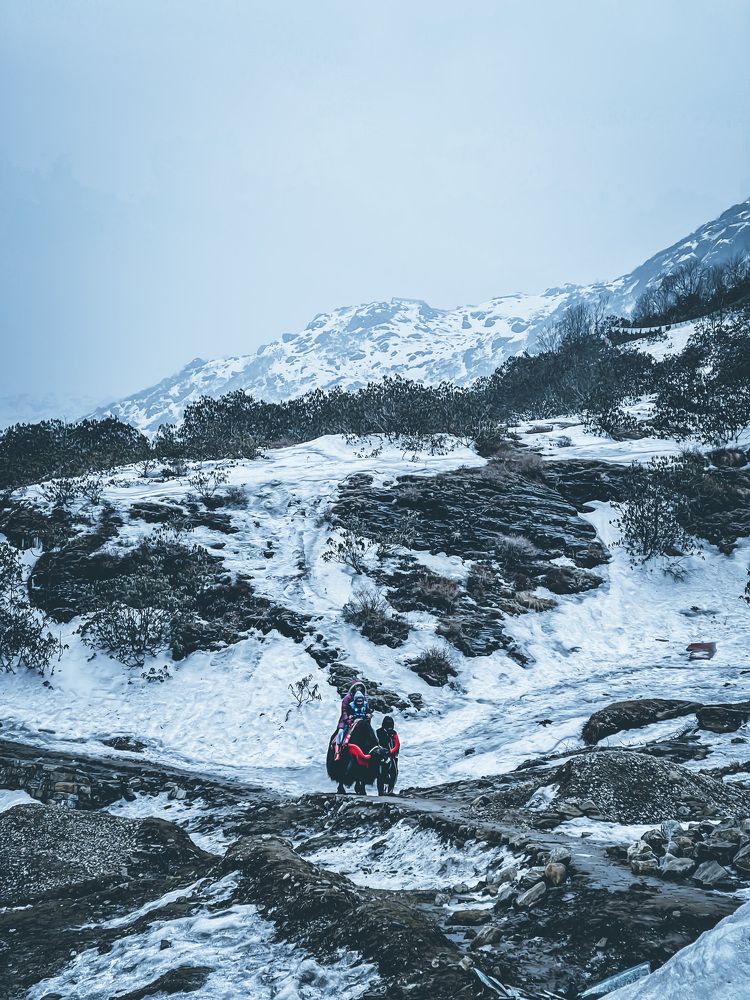 Photograph by Dipsankar Saha