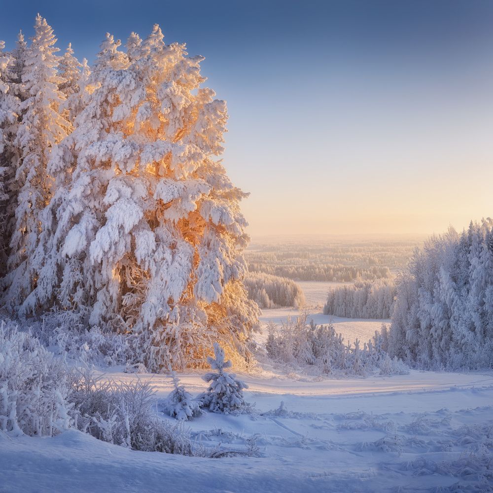 Photograph by Дмитрий Медянцев