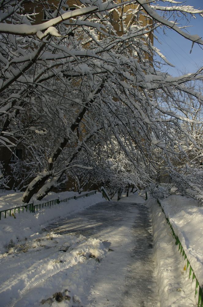 Photograph by Александр Челюканов