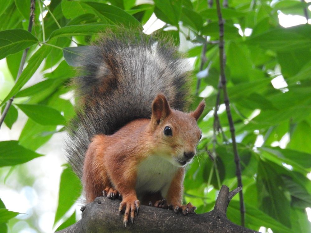 Photograph by Римма Большакова