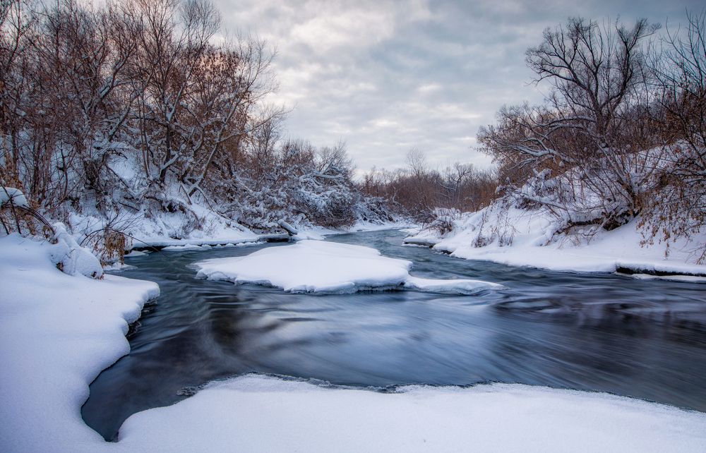 Неподвластная морозу...