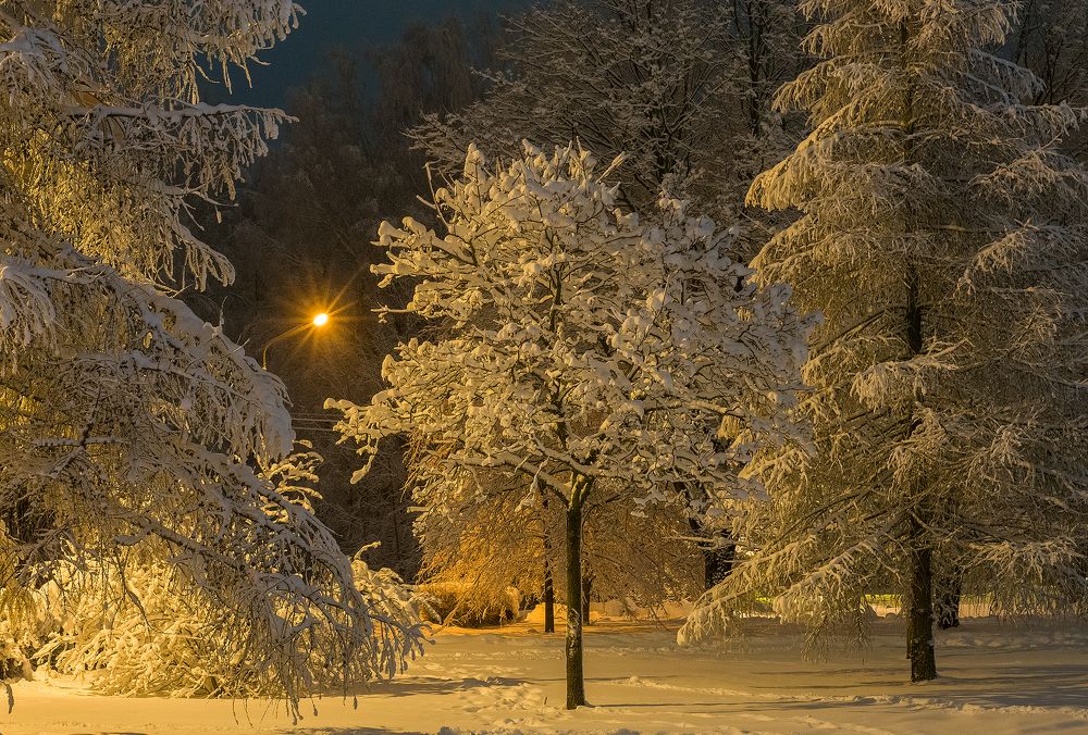 Photograph by Intars Šupiņš