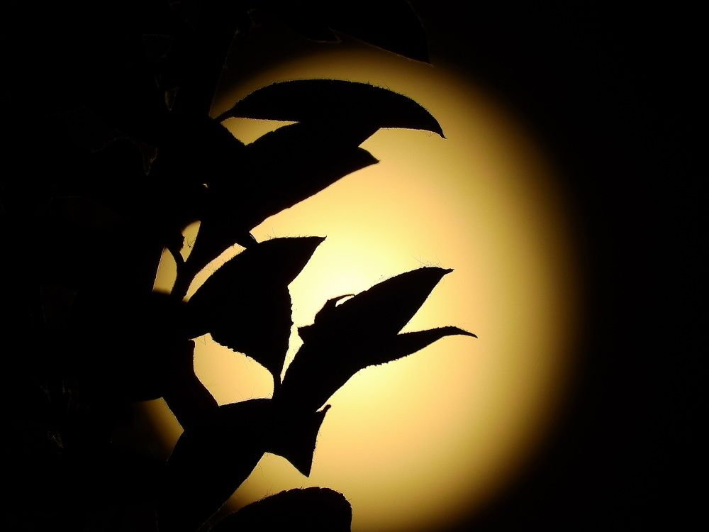 Photograph by Римма Большакова