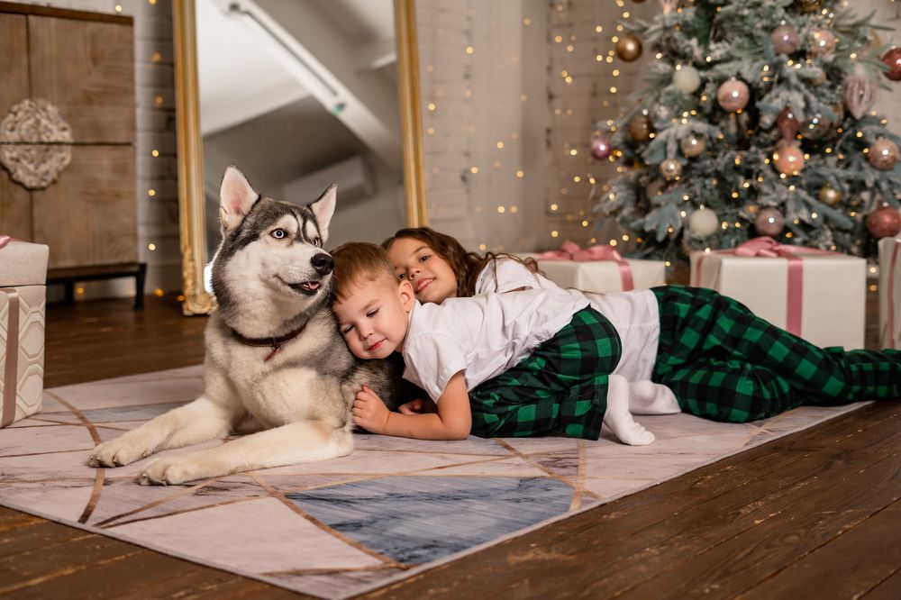 Photograph by Алина Тихонова