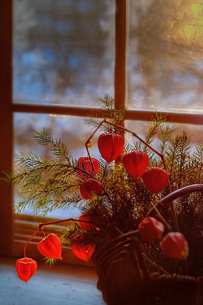 Photograph by Сивенок Елена