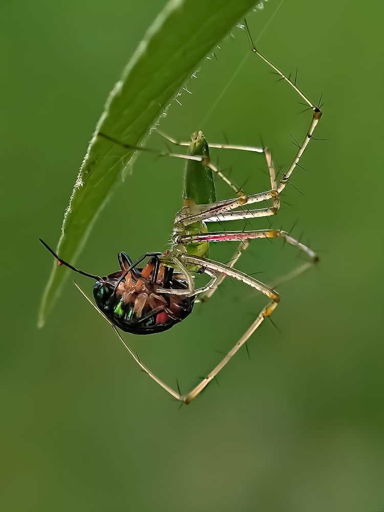 Photograph by Tirtho Roy
