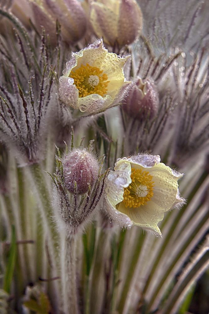 Photograph by Наталья Альбрехт