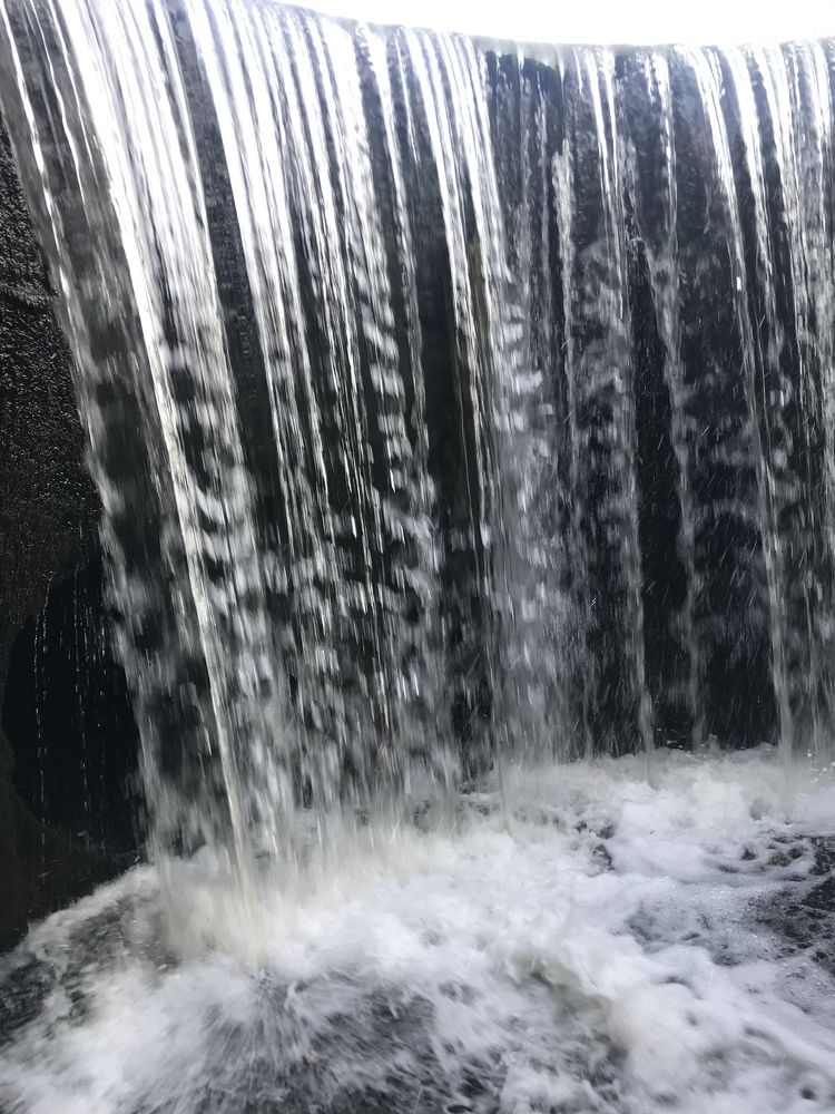 Фотография автора Virginija Sakalauskiene