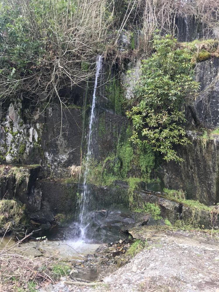 Фотография автора Virginija Sakalauskiene