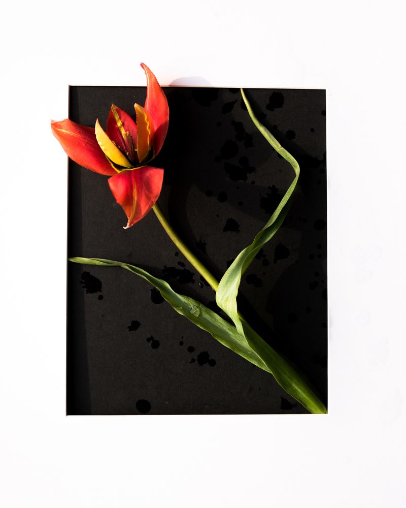 Photograph by Mariq Georgieva