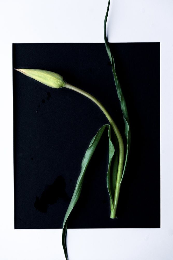 Photograph by Mariq Georgieva