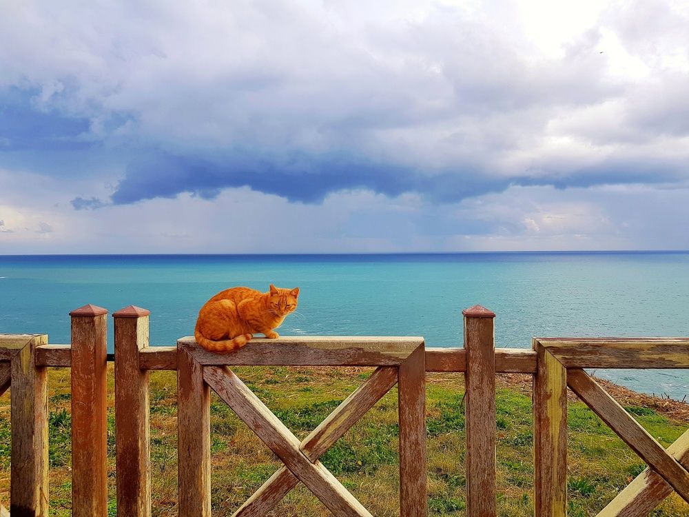 Photograph by Эльмира