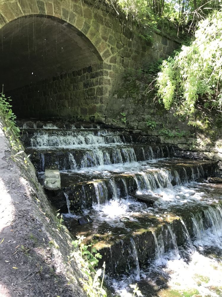 Фотография автора Virginija Sakalauskiene