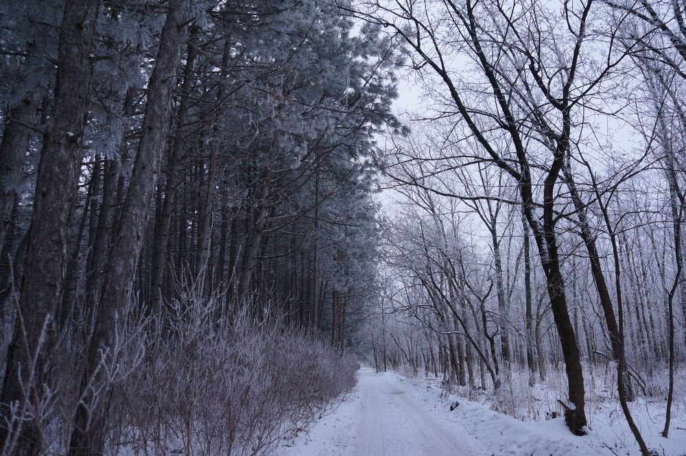 Photograph by Игорь Пекарский