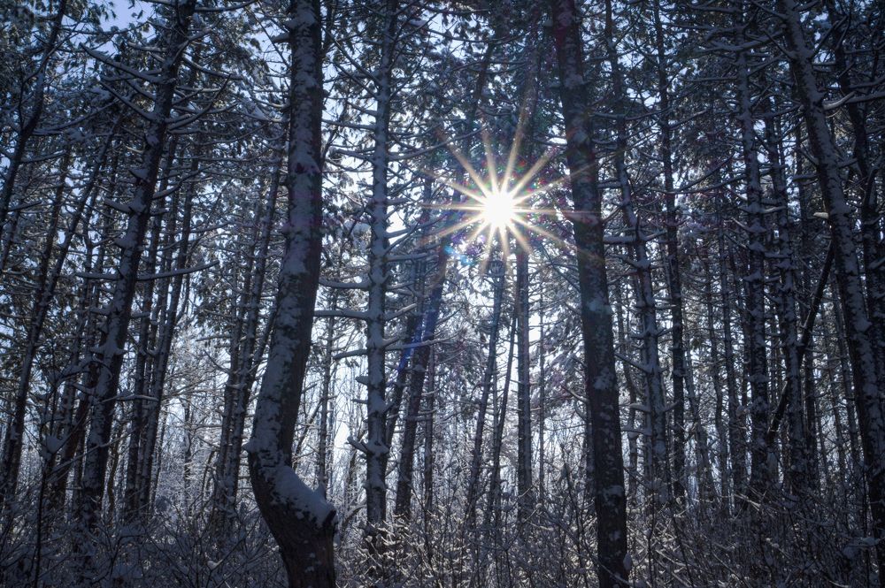 Photograph by Игорь Пекарский