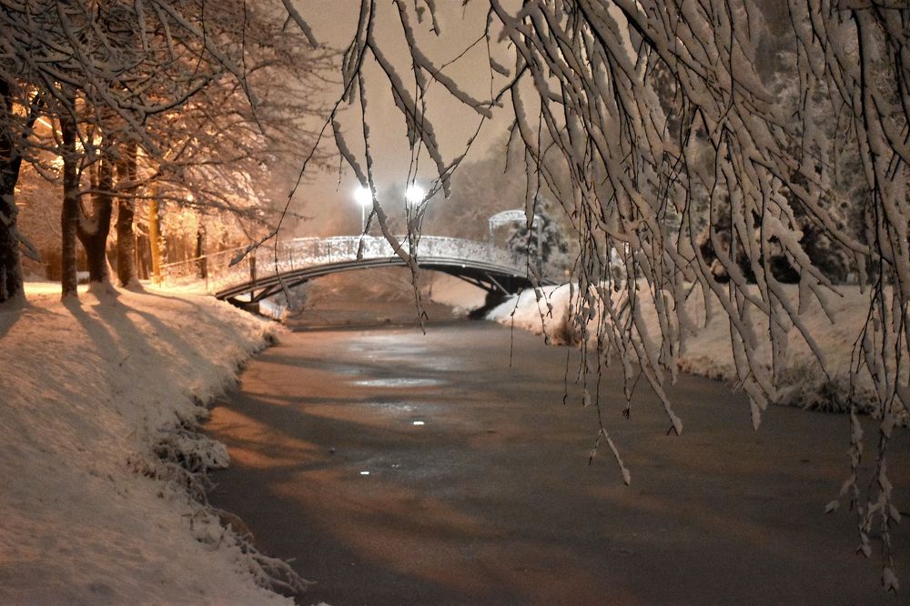 Photograph by Олена Лукашевич