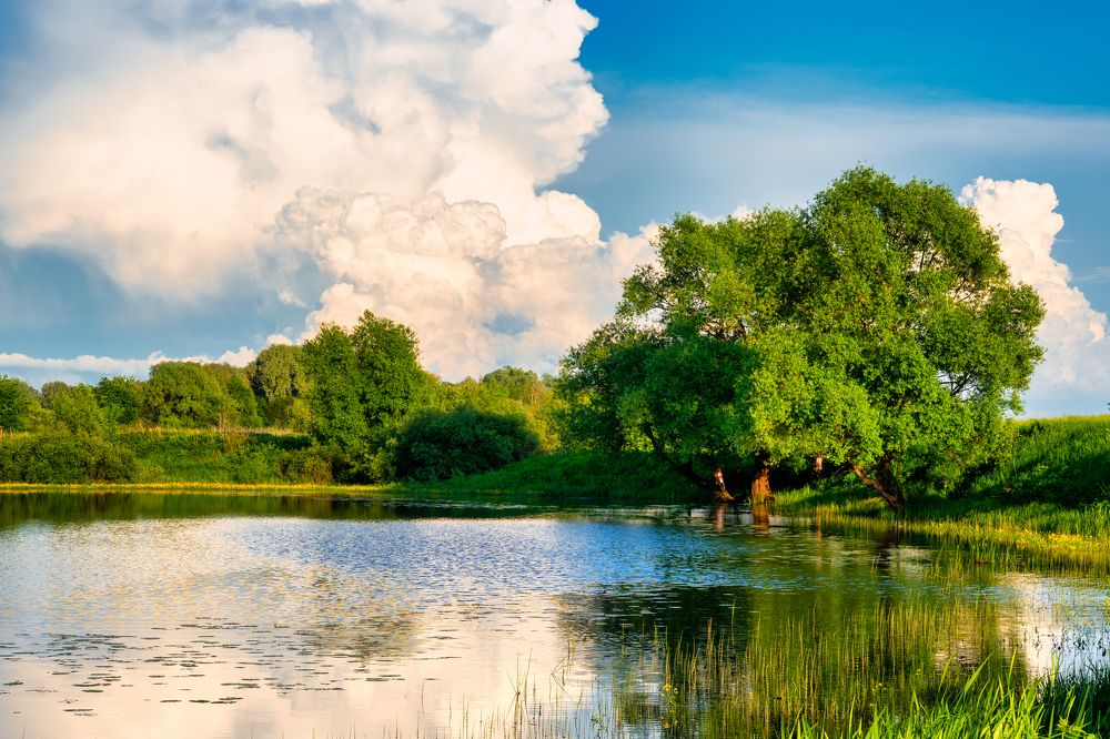 Photograph by Дмитрий Дигилин