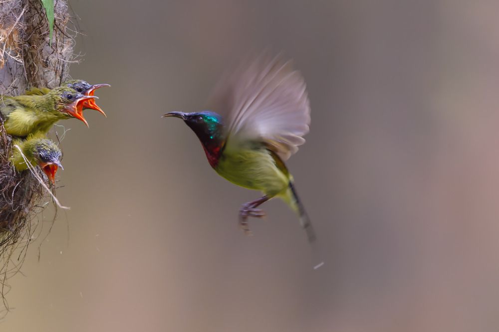 Photograph by Liu YuDong