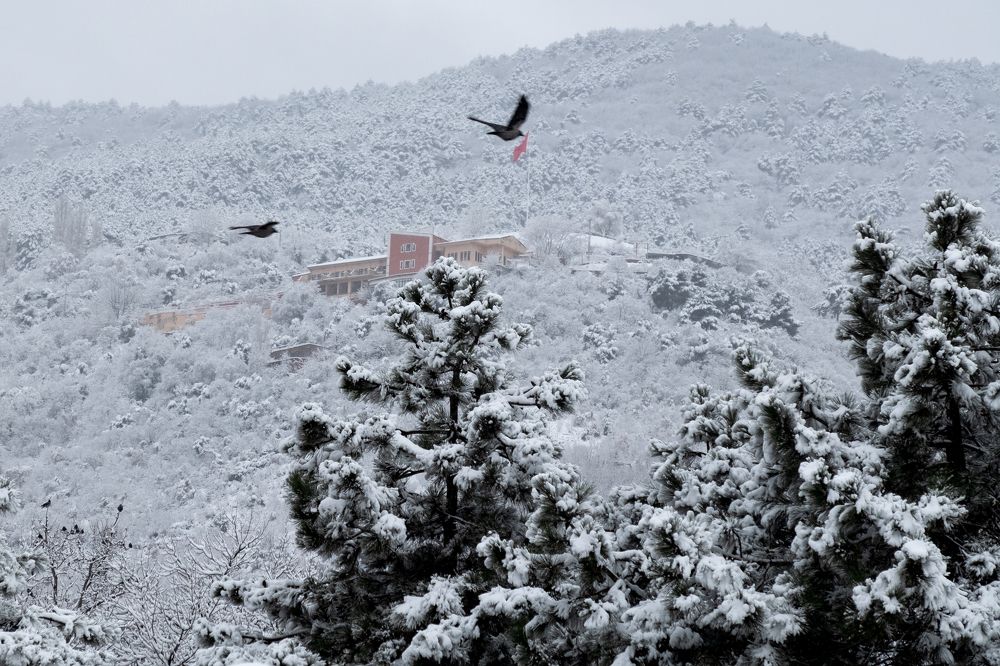 Photograph by İNCİ KOYUNCU