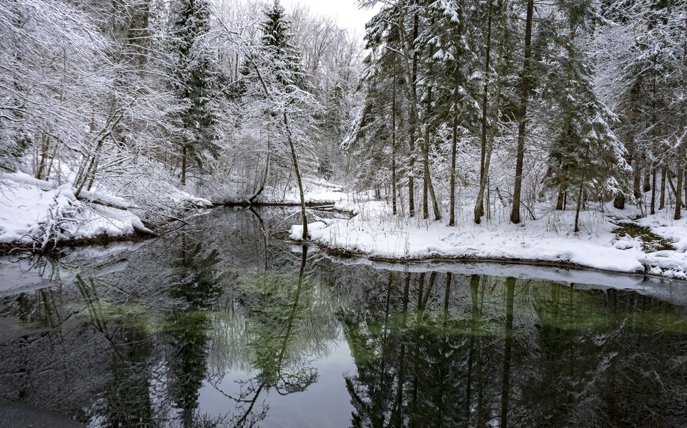 Photograph by Silja Tamme