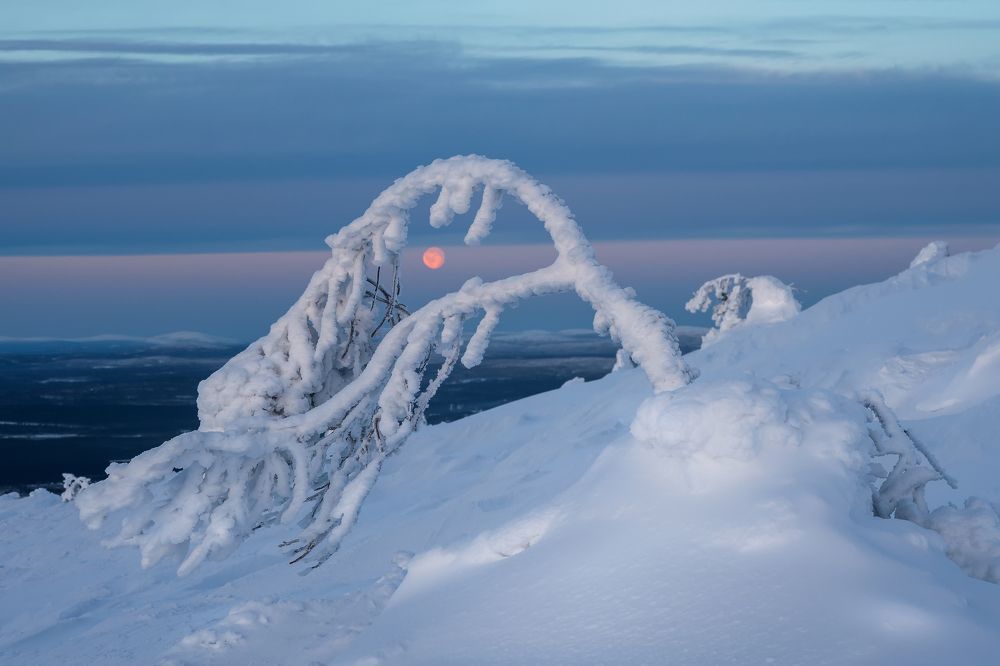 Photograph by Станислав Саблин