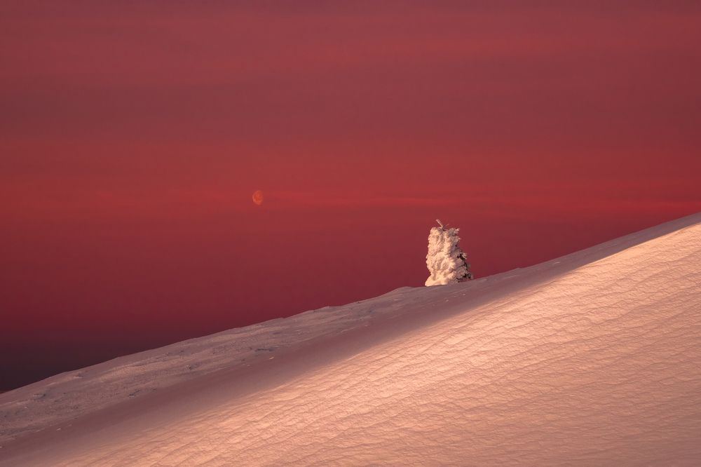 Photograph by Станислав Саблин