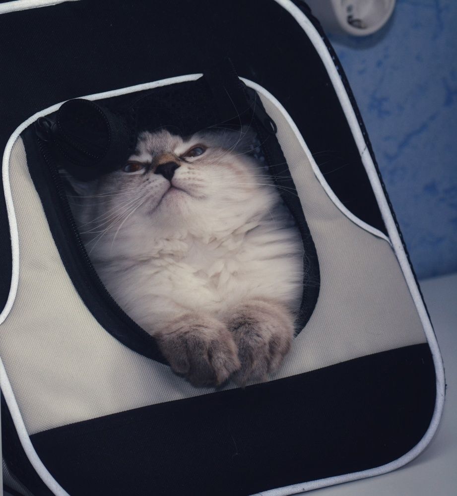 Photograph by Римма Большакова