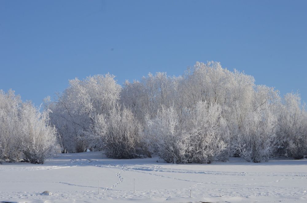 Photograph by Наталья Мордовская
