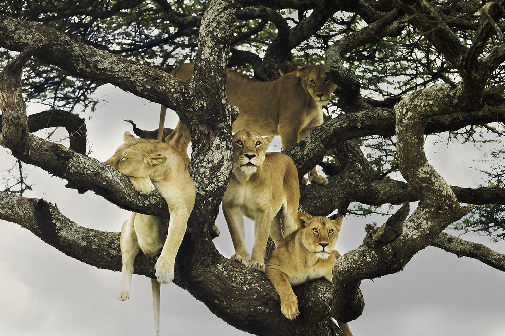 Photograph by Soumen Ghosh