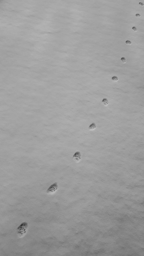 Photograph by Виктор Сёмушкин