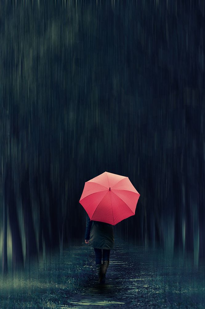 Photograph by Леонид Снег