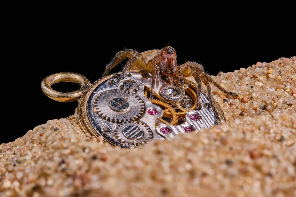 Photograph by Сергей Биденко