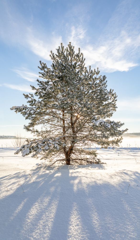 Photograph by Герман Корнеев