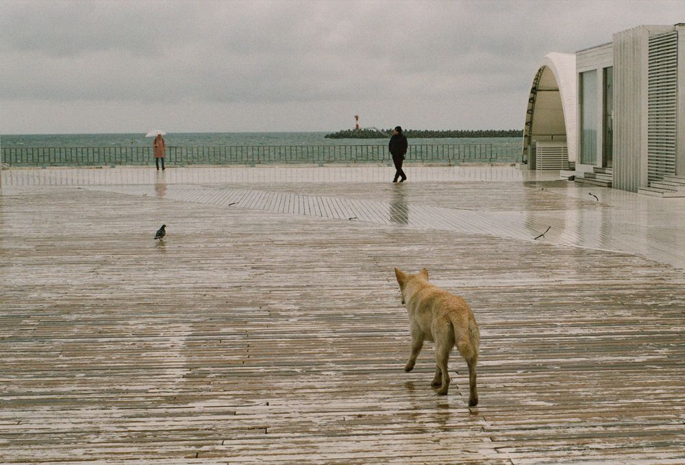 Photograph by Ludmila Stepnova