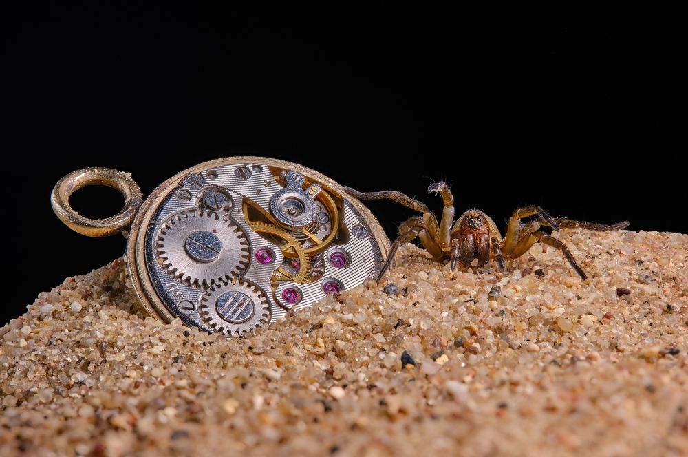 Photograph by Сергей Биденко