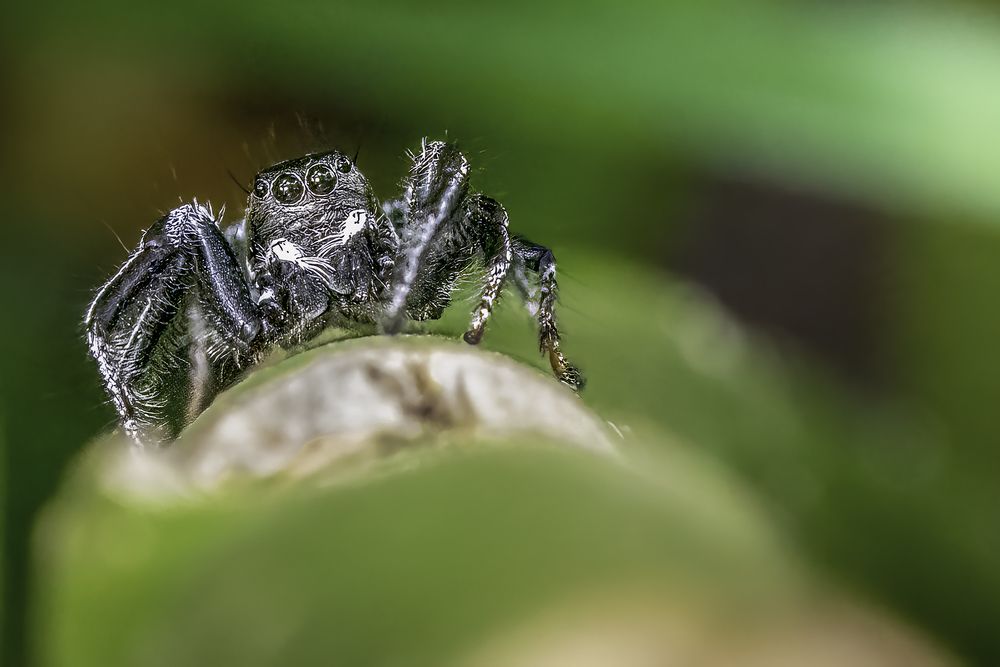 Photograph by Soumen Ghosh