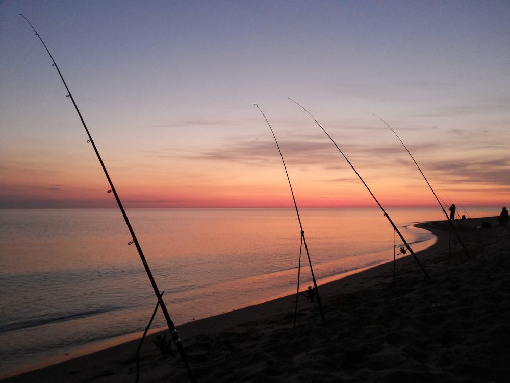 Photograph by Сергей Жигульский